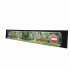 Truck Rear Tiger In The Jungle Illustrated Tampons Mud Flap - 240 cm