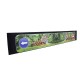 Truck Rear Tiger In The Jungle Illustrated Tampons Mud Flap - 240 cm