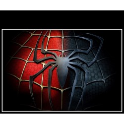 Spiderman Baskılı Paçalık 50x60cm