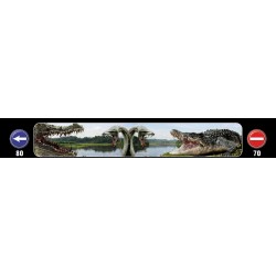 Timsah Baskılı Kamyon / TIR / Dorse Paçalık - 240 cm