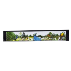 Tavus Kuşu Baskılı Kamyon / TIR / Dorse Paçalık - 210 cm